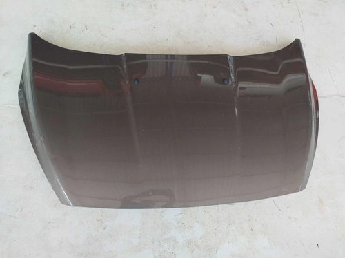 Capô Ford Ka 2015/2018 (ID:2225)