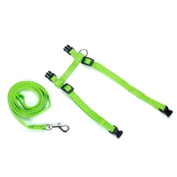 Kit Guia e Peitoral Ajustável para Gatos Verde