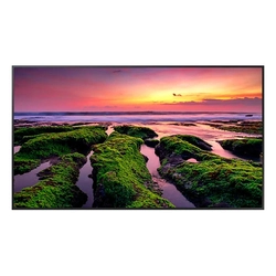 Monitor Profissional Samsung 4k 65