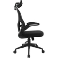 Cadeira Ergonômica Fortrek Ergo Base Mesh Preta - 85032