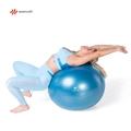Bola De Pilates Funcional EssenceFit 65cm Anti-estouro Fitness Pilates