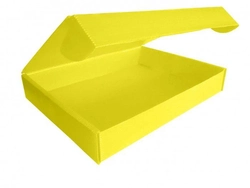 CAIXA ORGANIZADORA POLIONDA AMARELA - CAMISA