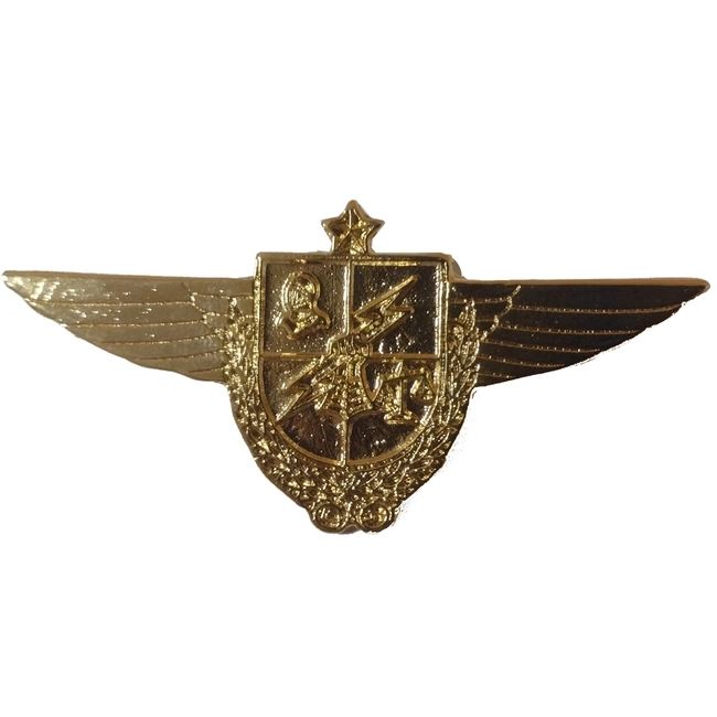 Brevê (Distintivo) de Metal Dourado GLO Antigo