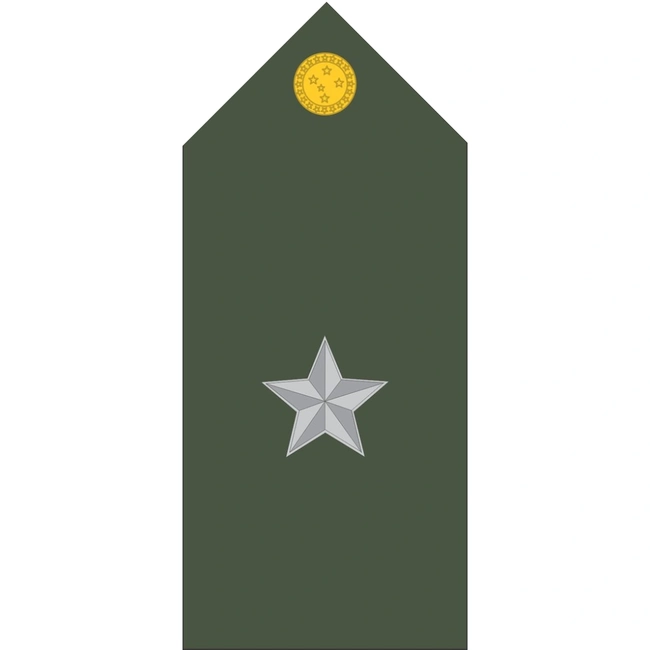Platinas do Exército Brasileiro (Par)