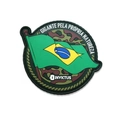 Patch Biomas do Brasil – Gigante BR (Invictus)