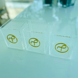 porta canetas - Logo alto relevo inicial ou desenho