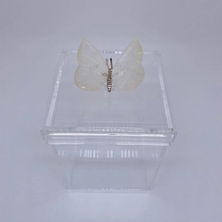 Caixa M Borboleta Quartzo
