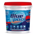 Hipoclorito De Cálcio Para Limpeza De Piscinas Bluepool 65%