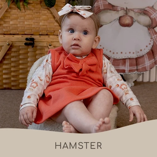 Hamester
