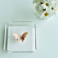 Porta Guardanapos Papel Borboleta