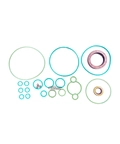 REPARO COMMON RAIL CP3110