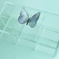 Caixa Chá Borboleta Quartzo