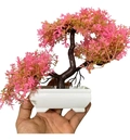 Bonsai Decorativo Artificial Pinheiro Japonês Elegância