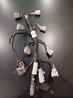 CHICOTE BICO OROCH DYN 1.6 SCE 2022 (Id:11804)