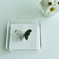 Porta Guardanapos Papel Borboleta