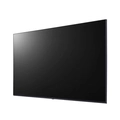 Monitor Profissional Lg Led 55