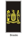 Divisa de Gola Brasão (Emborrachado) PM