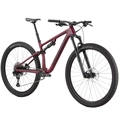 Bicicleta Specialized Epic Evo