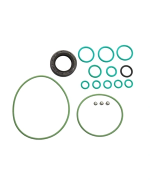 KIT DE REPARO COMPLETO PARA BOMBA DE ALTA PRESSÃO BOSCH CP3 11-23-184 OMS
