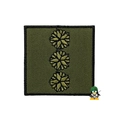 Coronel