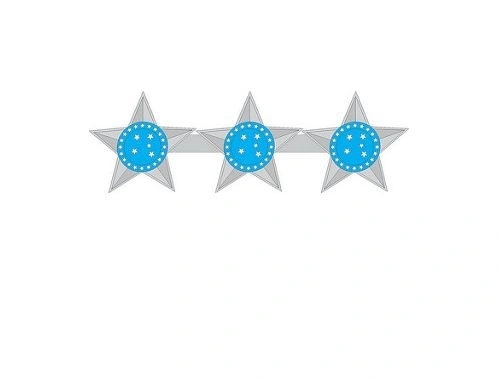 Divisa de Gola Metal EB Capitão (Unidade)