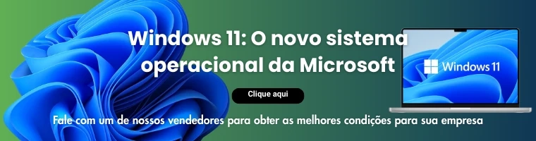 windows 11