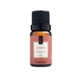 Essência Canela Via Aroma - 10ml