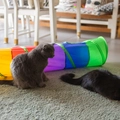 Brinquedo Túnel Reto para Gato Dobrável - Colorido