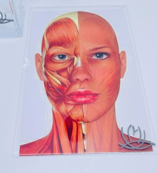 Display com foto impressa - Logo alto relevo inicial ou desenho