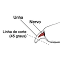 Tesoura Cortador de Unhas Cães e Gatos