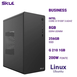 Computador B300 Core I3 9100f 3.6ghz Memória 8gb Ddr4 Ssd 256gb g 210 1gb Fonte 200w Linux Ubuntu