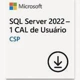 Sql Server 2022 Microsoft 1 Usuário Cal Perpétuo Csp - Dg7gmgf0mf3t-002