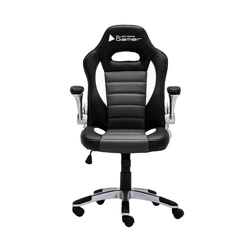 Cadeira Gamer Silver Preta Com Branco Bch-04wgybk Bluecase