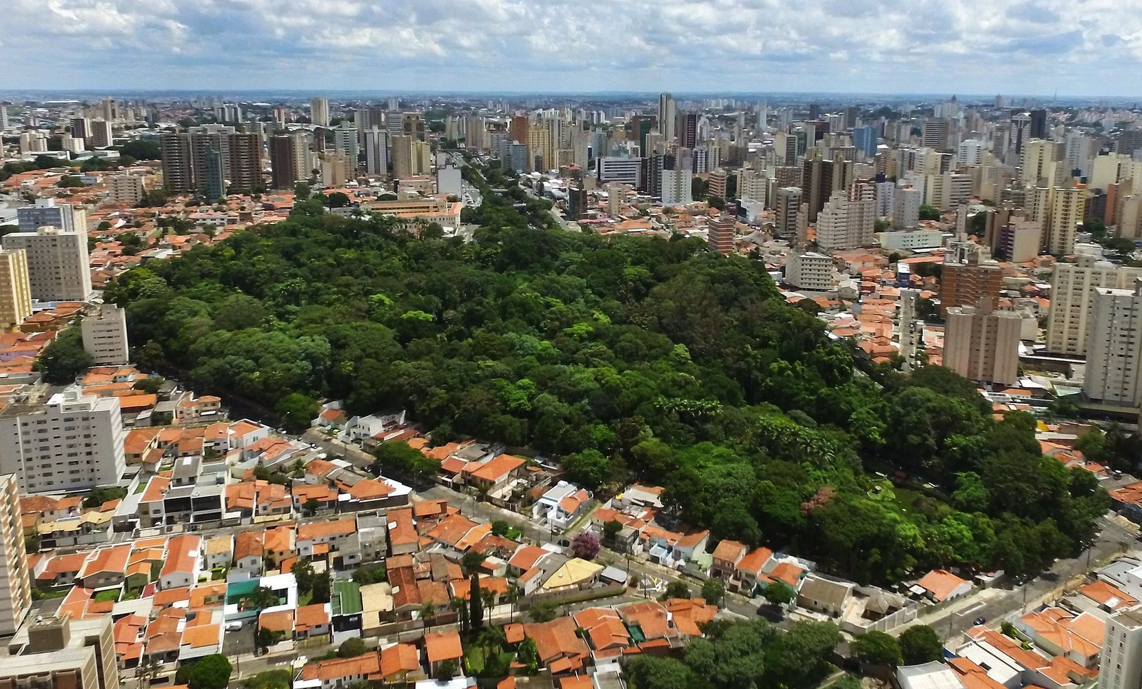 Criar site de vendas em Campinas SP