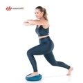 Almofada Disco de Equilíbrio Exercícios Fortalecimento Inflável