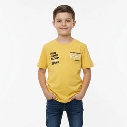 Camiseta Manga Curta Masculina Estampada Hering - Amarela