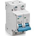 Mini Disjuntor 2 Polos 20a