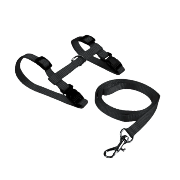 Kit Guia e Peitoral Ajustável para Gatos  Preto