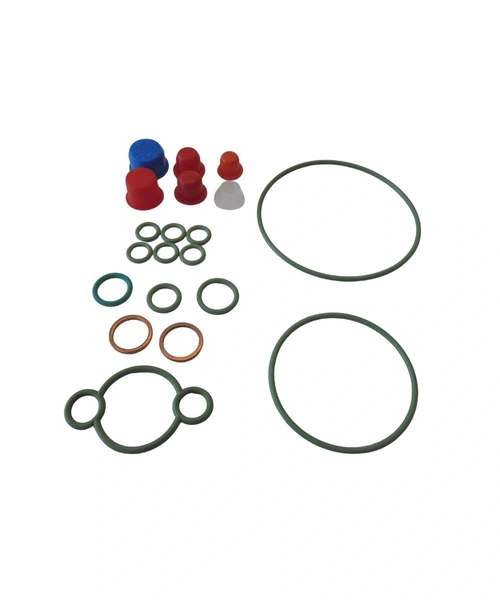 REPARO COMMON RAIL PARCIAL CP370