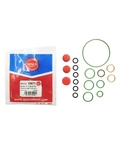 REPARO COMMON RAIL CP3110 PARCIAL