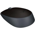 Mouse Optico S/fio Usb M170 Ambidestro Preto C/Pilha - Logitech