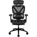 Cadeira Ergonômica Thunderx3 Xtc Mesh Preta