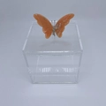 Caixa Cubo Borboleta
