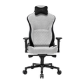 Cadeira Gamer DT3 Royce Ashen Reclinável Apoio de braço 4D - 13340-1