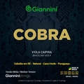 ENCORDOAMENTO VIOLA MEDIA NIQ GIANNINI GESVNM