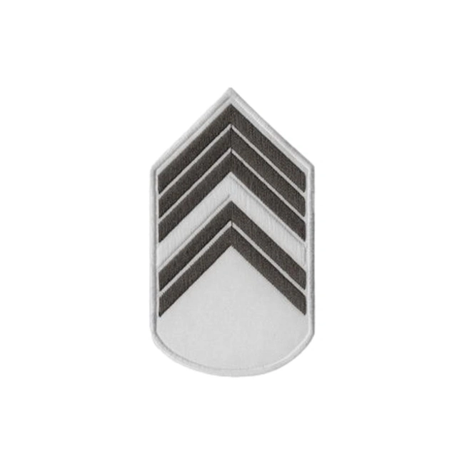 Divisa Bordada Saúde EB (Par)