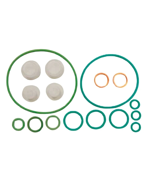 KIT REPARO PARCIAL BOMBA DE ALTA PRESSÃO COMMON RAIL CP3 - EQ. F00N201977 11-23-252 OMS