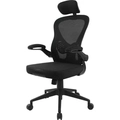 Cadeira De Escritório Ergonômica Fortrek Ergo Base Ajustável Preta