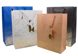 Sacola de Papel Glamour - pacote c/12unid. - cores sortidas - G  -30X40cm