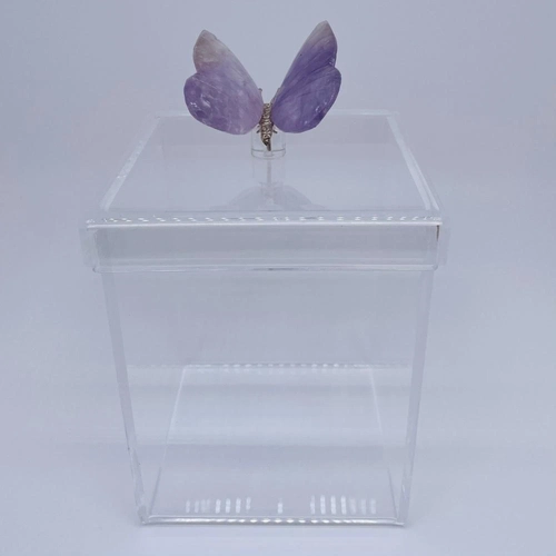 Caixa M Borboleta Quartzo